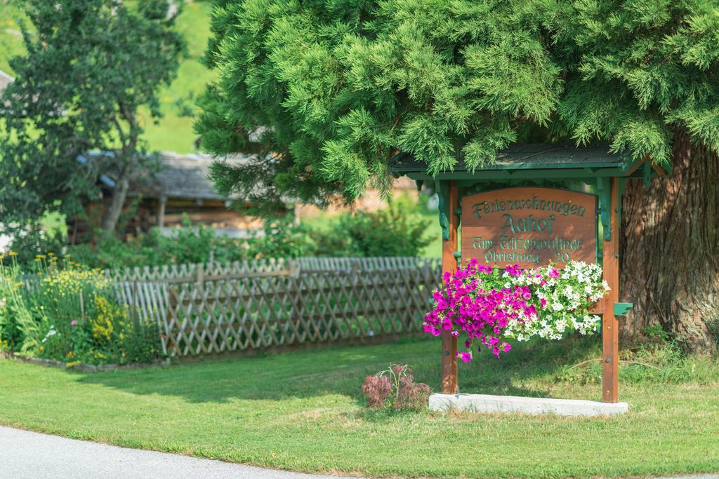 Bauernhof Auhof Apartment Wagrain Ngoại thất bức ảnh